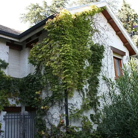 Casa Aikon * Gojar